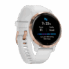 Watch Garmin Venu 2S GPS 40mm - Rosegold/White